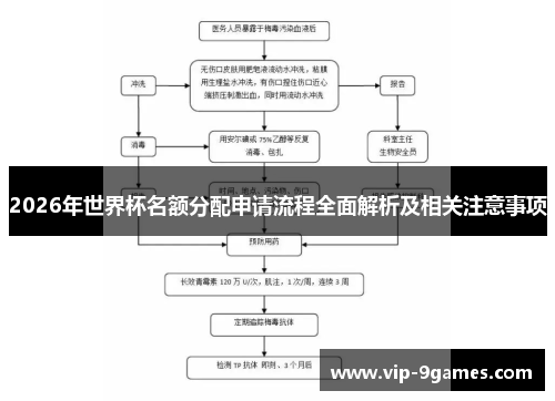 2026年世界杯名额分配申请流程全面解析及相关注意事项